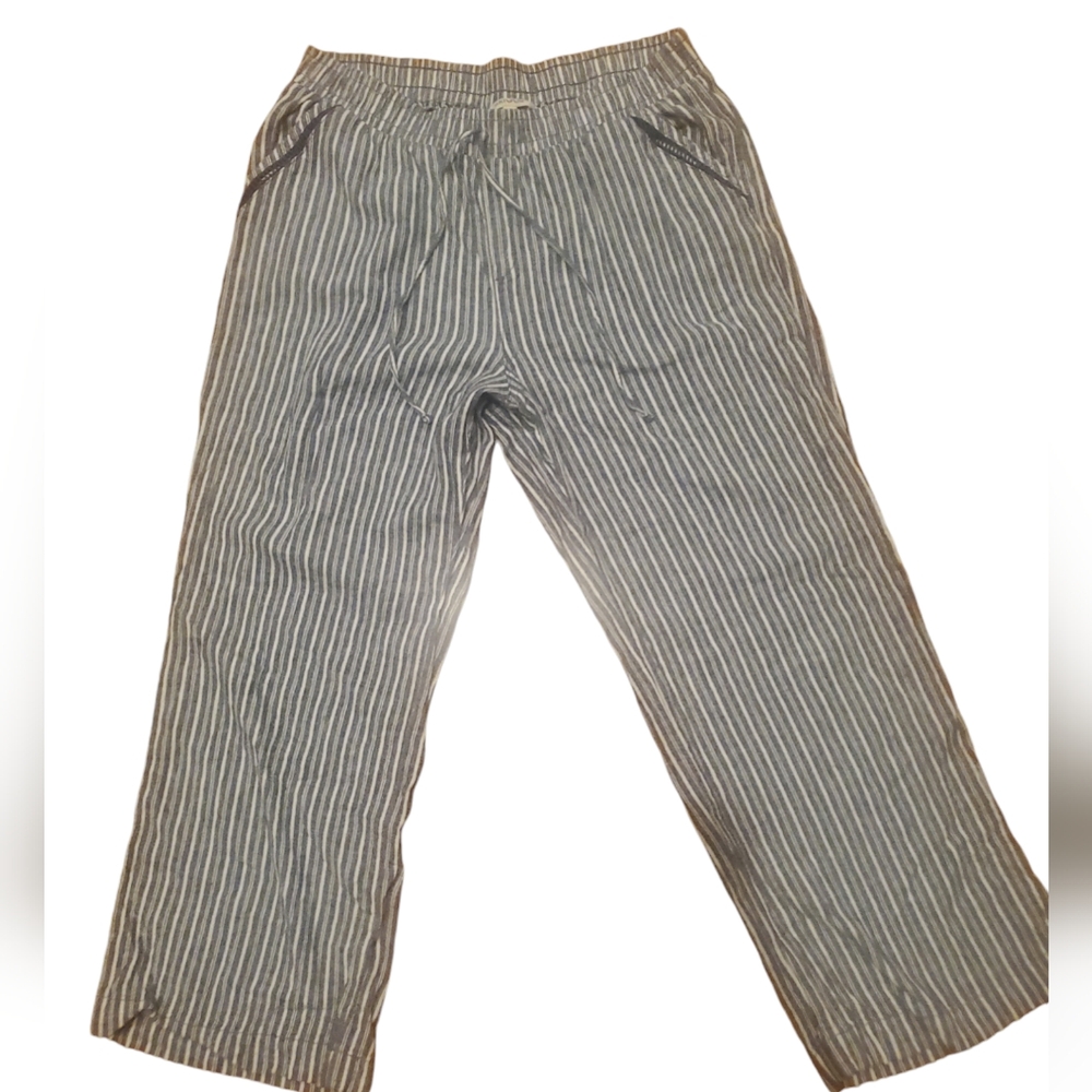 Briggs XL Wide Leg Pinstripe Pants